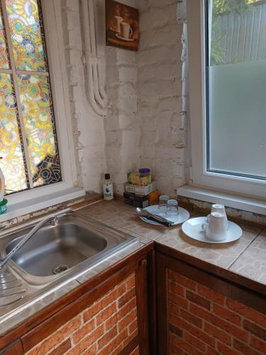 布加勒斯特世博寄宿家庭的带水槽的厨房台面和窗户