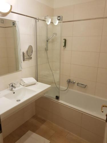 施泰尔民切玛酒店及餐厅的一间带水槽和淋浴的浴室