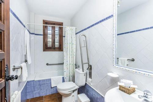 奥尔纳丘埃洛斯Complejo turistico El Álamo的蓝色和白色的浴室设有卫生间和水槽