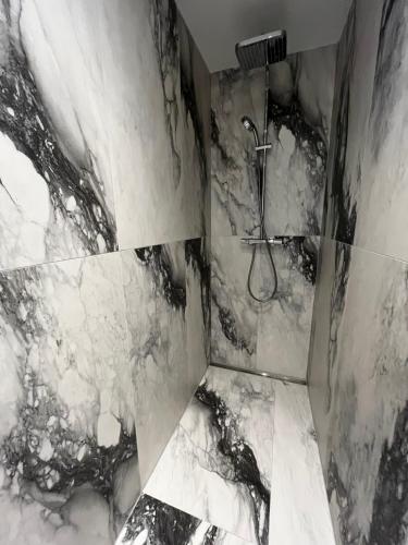 拉宾Canova Apartment的带淋浴的黑白浴室