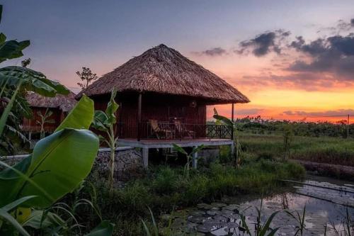 芹苴Homestay Mekong Can Tho的地里的小屋,背面有日落