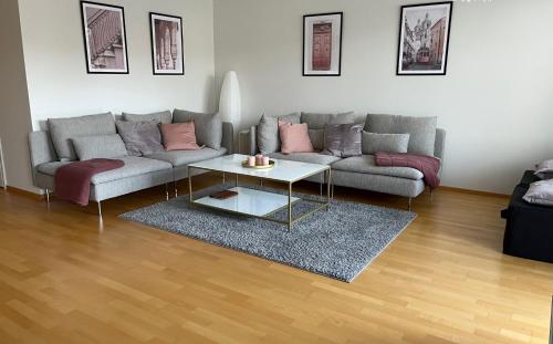 图尔库Tasokas jokiranta-asunto lähellä ydinkeskustaa的客厅配有两张沙发和一张咖啡桌