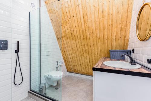 姆茨赫塔Modern Wood Cottages的一间带卫生间和玻璃淋浴间的浴室