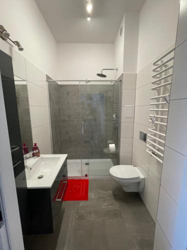 奥斯特罗达Mini apartament Ostróda的一间带水槽、卫生间和淋浴的浴室