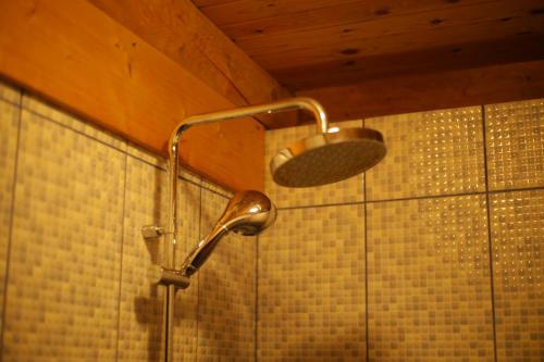 SkultePirts māja Ramatas的浴室内配有淋浴和头顶淋浴