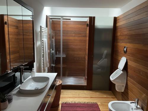 FreixoO Celeiros的带淋浴、盥洗盆和卫生间的浴室