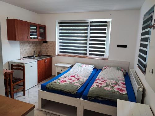 佐洛卡罗斯BM Apartman的一间带床的小卧室和一间厨房
