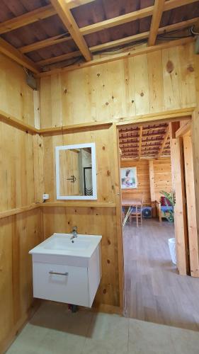 纳布勒Chalet Jaune Diar Mammoura的木屋内带水槽的浴室