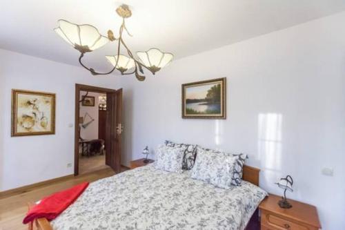 哈日科维多尔克麦斯里基别墅的一间卧室配有一张床和一个吊灯