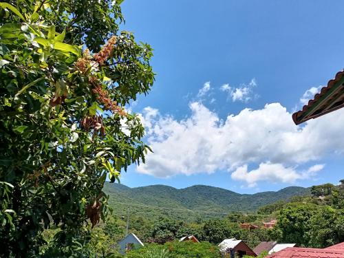 永熙Khách sạn Mộng An的从一棵树上欣赏山脉美景