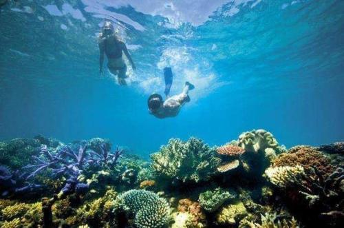 高龙撒冷岛Mangrove Beach Bungalows的两个人在珊瑚礁上游