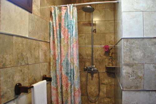 圭马尔Casa Rural Aca y Papá Juan的浴室里配有带色彩缤纷的淋浴帘的淋浴