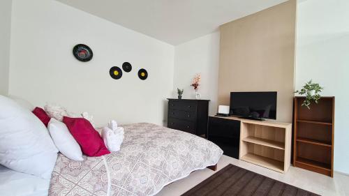 布达佩斯布达城堡高级公寓的一间卧室配有一张带红色枕头的床和电视。