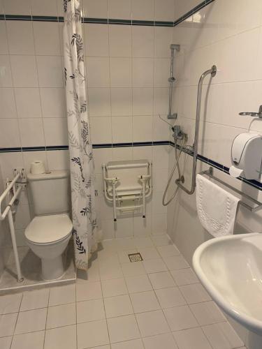 派克波特斯耐兹库霍雷克酒店的一间带卫生间和水槽的浴室