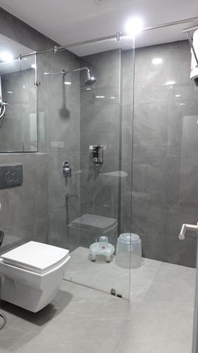 SeonīAnnandam Inn(Hotel Anand)的一间带卫生间和玻璃淋浴间的浴室