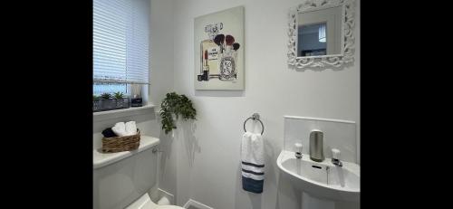 珀斯Stylish Scottish House with garden and parking的一间带水槽、卫生间和镜子的浴室