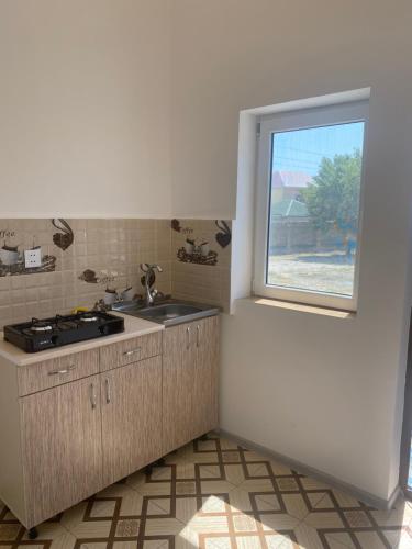 巴库Zig Residence的厨房设有水槽和窗户。