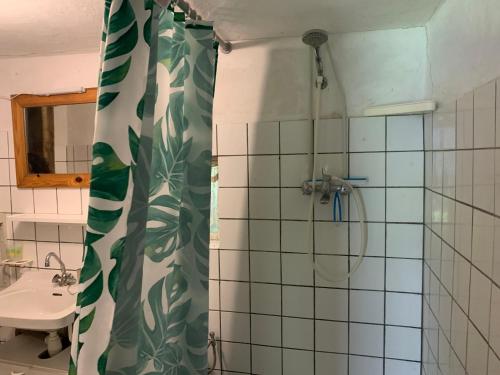 TholletMaison L’Atelier的带淋浴和盥洗盆的浴室
