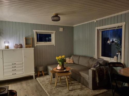 BrygghaugenOff-the-grid cabin on the island of Senja in northern Norway的客厅配有沙发和桌子