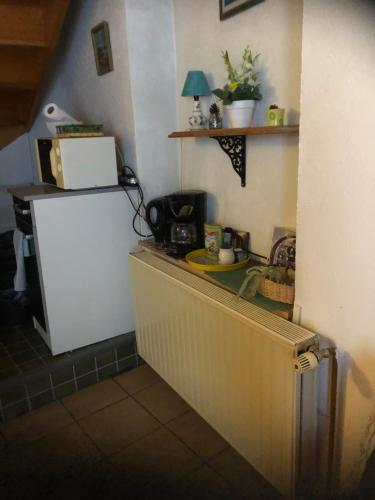 沙特努瓦Chambre spacieuse dans joli village alsacien的厨房配有冰箱和台面