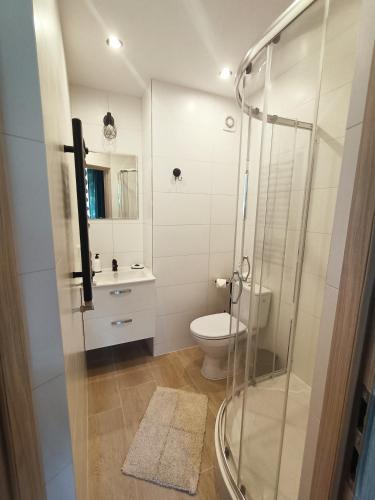 卡齐米日-多尔尼Pokoje za Basztą的一间带卫生间和玻璃淋浴间的浴室