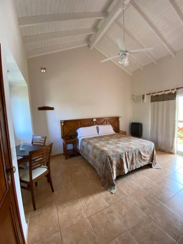 费德拉西翁Piedra de Agua的卧室配有1张床、1张桌子和1把椅子