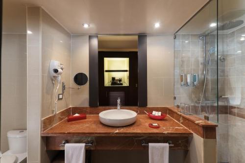 圣多明各Barceló Santo Domingo的一间带水槽和淋浴的浴室