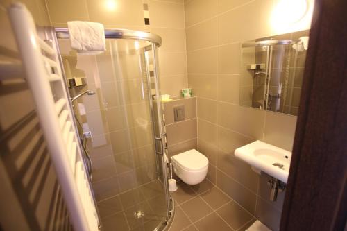 布斯克·兹德鲁伊巴杰柯伊旅馆的带淋浴、卫生间和盥洗盆的浴室