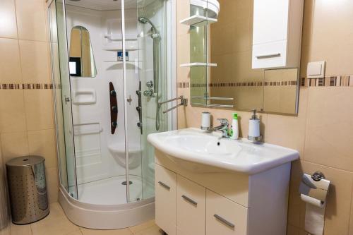 克勒克Apartments by the sea Duboka, Neretva Delta - Usce Neretve - 12842的一间带水槽和淋浴的浴室