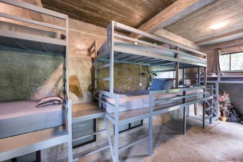 涛岛Deishaview Jungle Hostel的客房内的一组双层床