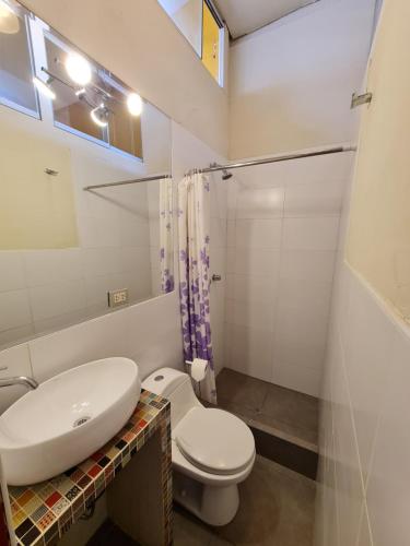 利马Flying Dog Hostel的浴室配有白色卫生间和盥洗盆。