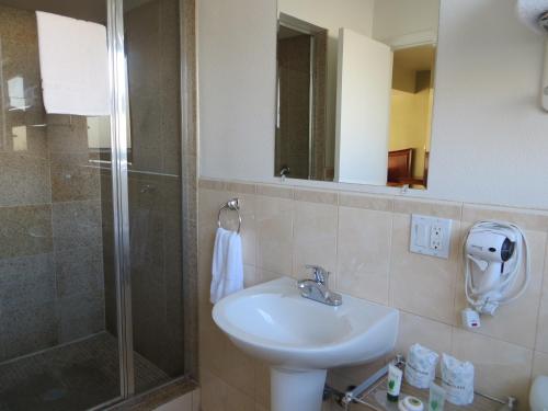 帕罗奥多皇冠汽车旅馆的一间带水槽和淋浴的浴室