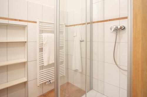 HinrichsdorfFerienwohnung "Strandkorb"的带淋浴的浴室和玻璃门