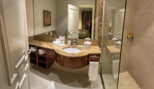 利雅德维维安达别墅酒店的一间带水槽和淋浴的浴室