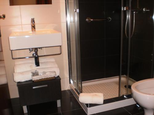 布拉干萨圣塔阿波洛尼娅酒店的带淋浴、盥洗盆和卫生间的浴室