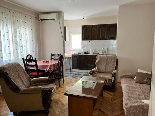 波德戈里察Gorica hill apartment的带沙发和桌子的客厅以及厨房。