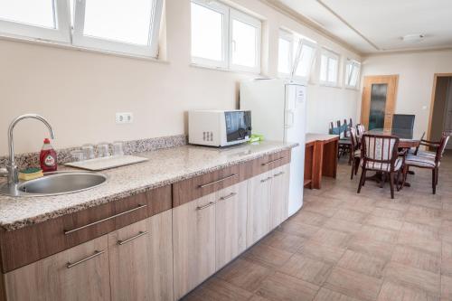 包姚Kaiser Residence的厨房配有带水槽的柜台和冰箱。