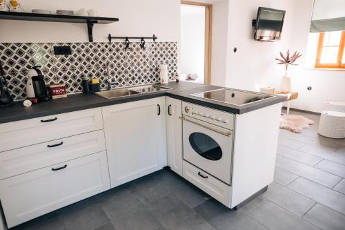 LjubnoŠtekner house Apartma的一个带水槽和洗碗机的厨房