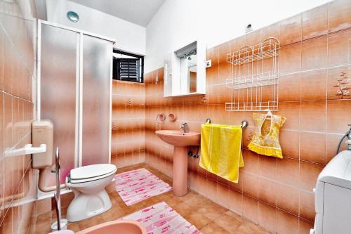 普利兹巴Apartments by the sea Prizba, Korcula - 149的一间带卫生间和水槽的浴室