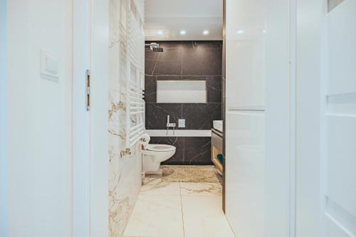 华沙Apartament Szlachecka的一间带卫生间和水槽的浴室