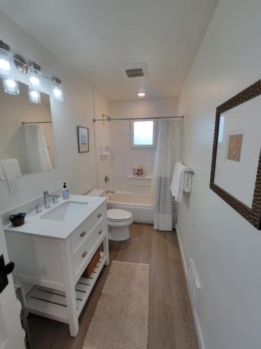 西雅图Sunny remodeled craftsman in Georgetown的白色的浴室设有水槽和卫生间。