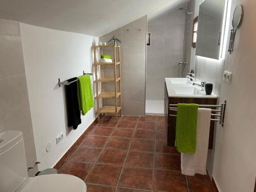 贝莱斯布兰科Casas Demi verhuurhuis的浴室配有水槽、卫生间和绿毛巾。