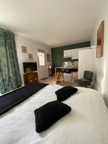 蒙彼利埃Studio climatisé dans un ancien domaine viticole的一间卧室配有一张大白色床和两个枕头
