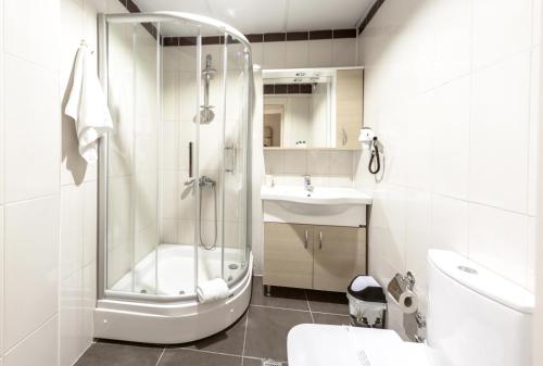 埃迪尔内埃迪尔奥斯曼皇宫公寓式酒店的带淋浴、卫生间和盥洗盆的浴室