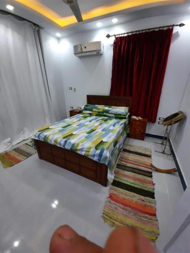赫尔格达الغردقة، منطقة عرابية的一间卧室配有一张床和地毯