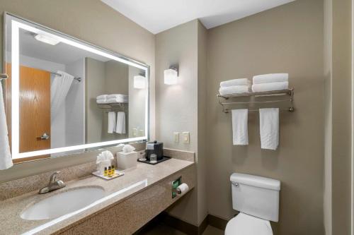 丹顿丹顿贝斯特韦斯特PLUS酒店的一间带水槽、卫生间和镜子的浴室