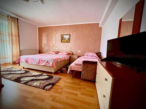 Statjunea BorsaCasa Viorica的一间卧室配有两张床和一台平面电视