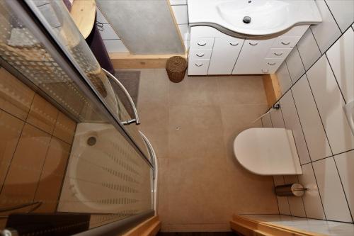 BřezniceOak apartment的一间带水槽和卫生间的小浴室