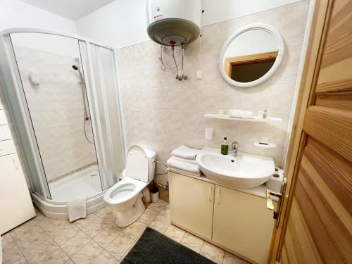 奈达Vila Nidutė的浴室配有卫生间、盥洗盆和淋浴。