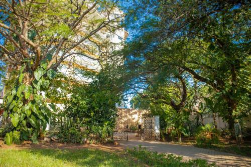 达累斯萨拉姆Baobab Village Studio的一座树木繁茂的公园和一座建筑
